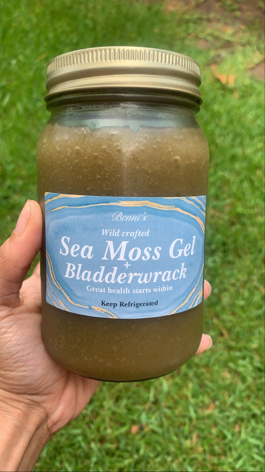Wildcrafted Irish Sea Moss + Bladderwrack 16oz